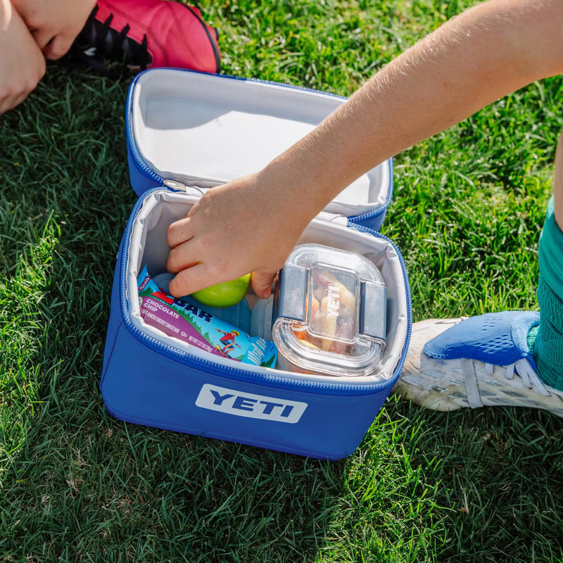 DAYTRIP® INSULATED SNACK BOX 3L - ASPEN / PAMPA / WILD VINE