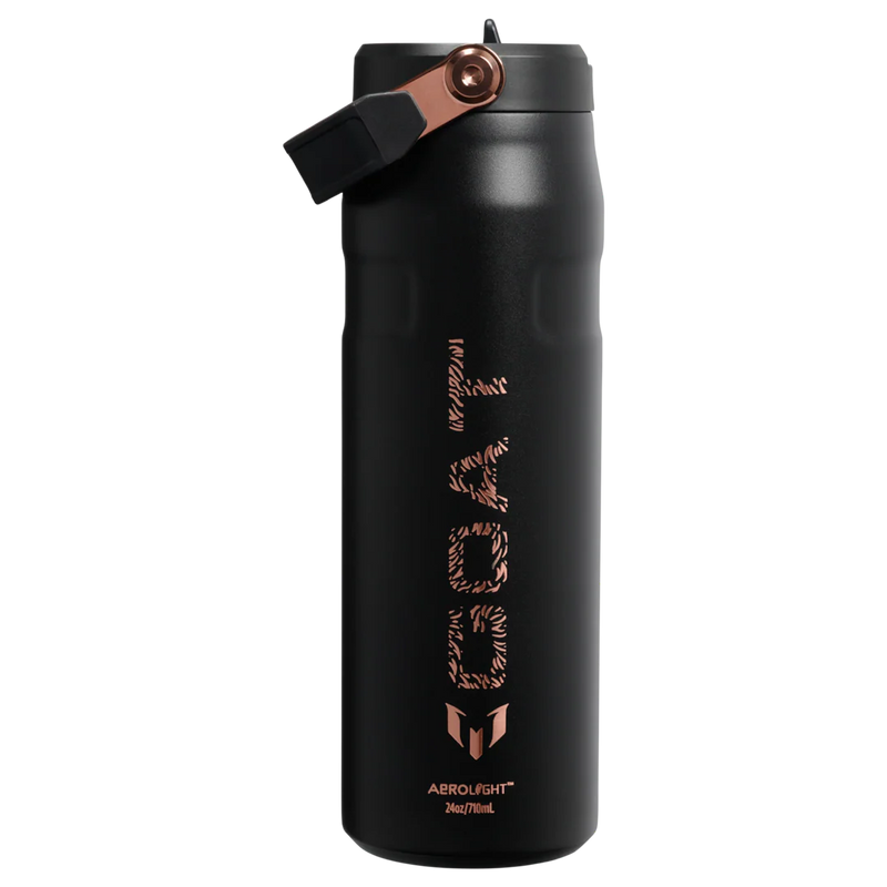 STANLEY ICEFLOW™ AEROLIGHT FLIP STRAW | 24 OZ