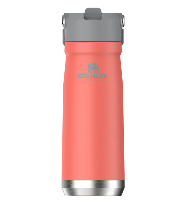 STANLEY THE GO FLIP STRAW WATER BOTTLE | 22 OZ