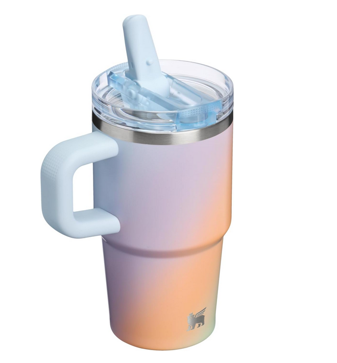 STANLEY QUENCHER PROTOUR FLIP STRAW TUMBLER | 20 OZ