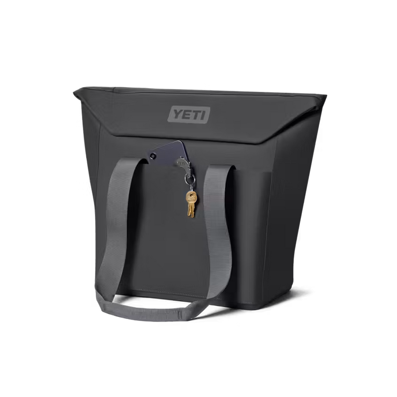 DAYTRIP® INSULATED TOTE BAG 20L - CHARCOAL