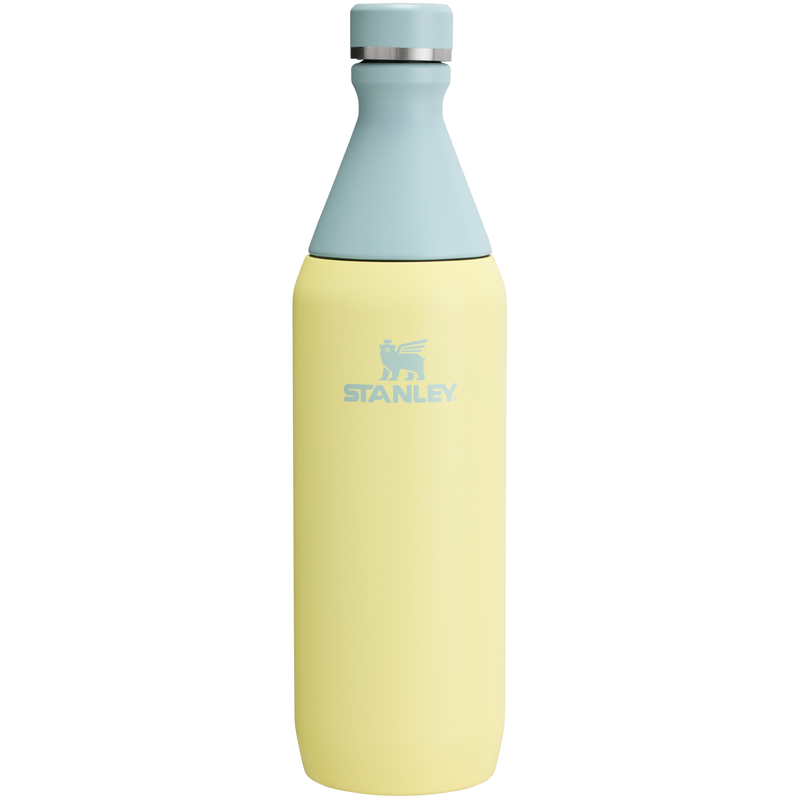 STANLEY ALL DAY SLIM BOTTLE | 20 OZ
