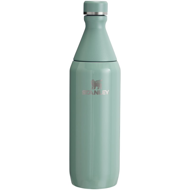 STANLEY ALL DAY SLIM BOTTLE | 20 OZ