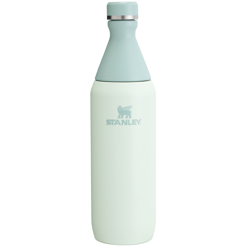 STANLEY ALL DAY SLIM BOTTLE | 20 OZ