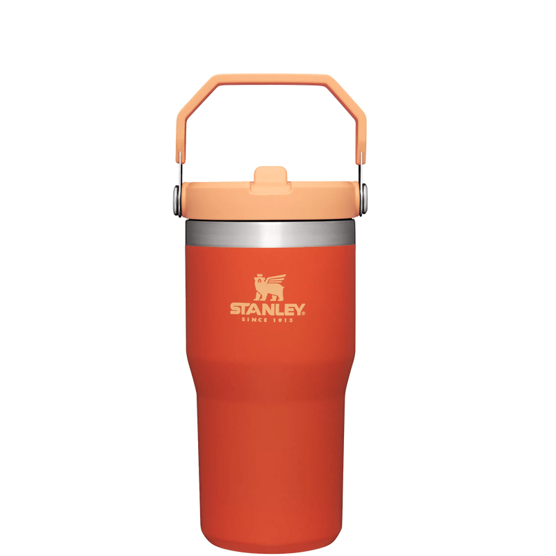 STANLEY FLIP STRAW TUMBLER | 20 OZ