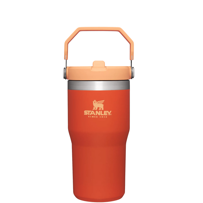 STANLEY FLIP STRAW TUMBLER | 20 OZ